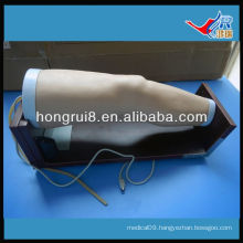 ISO Deluxe Intra-articular Injection Training Model, intracavity injection model